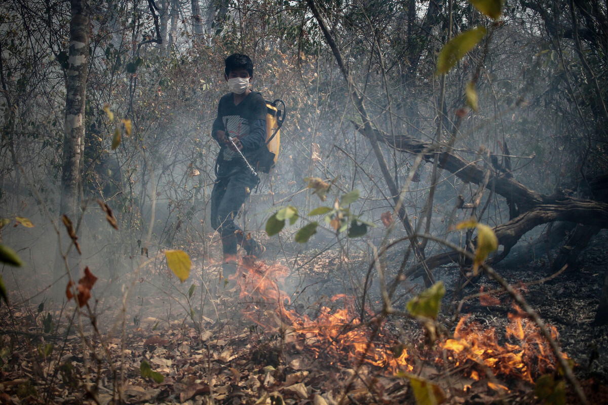 Young ranger tries to put up the fire at Quitununquiña